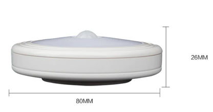 Motion-sensor light detail view