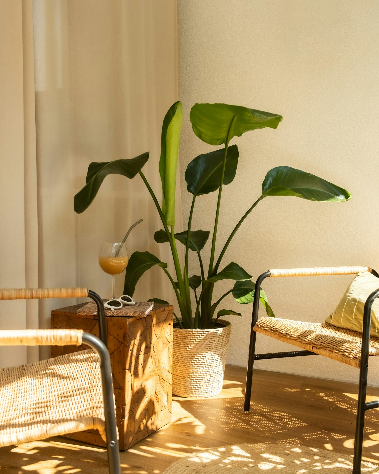 Cozy warm-lit corner with rattan chairs, plant, and sage cushion - Everhome Our Story section